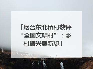 烟台东北桥村获评“全国文明村”:乡村振兴展新貌
