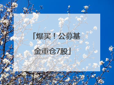 爆买！公募基金重仓7股