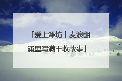爱上潍坊丨麦浪翻涌里写满丰收故事