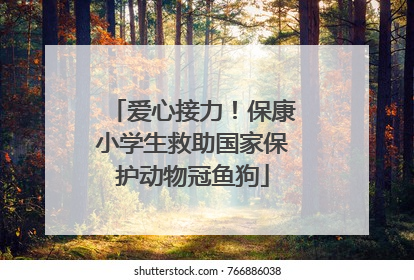 爱心接力！保康小学生救助国家保护动物冠鱼狗