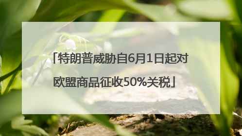 特朗普威胁自6月1日起对欧盟商品征收50%关税