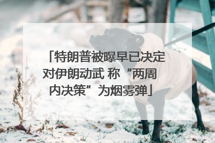 特朗普被曝早已决定对伊朗动武 称“两周内决策”为烟雾弹