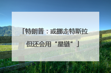 特朗普：或挪走特斯拉 但还会用“星链”