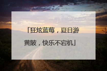 狂炫蓝莓，夏日游黄陂，快乐不宕机