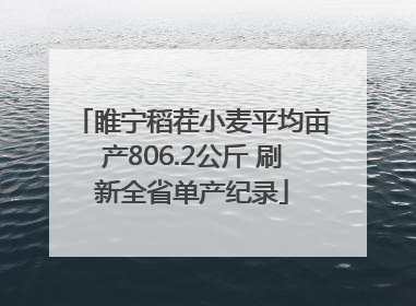 睢宁稻茬小麦平均亩产806.2公斤 刷新全省单产纪录