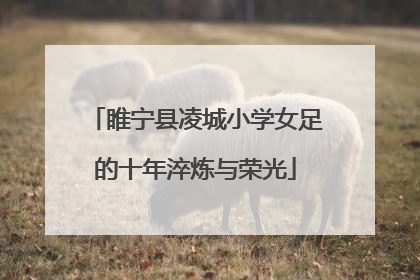 睢宁县凌城小学女足的十年淬炼与荣光