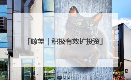 瞭望｜积极有效扩投资