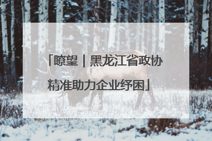瞭望|黑龙江省政协精准助力企业纾困
