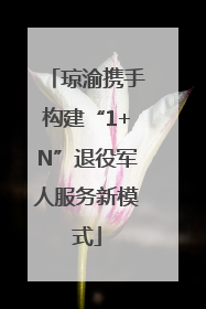 琼渝携手构建“1+N”退役军人服务新模式