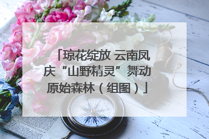 琼花绽放 云南凤庆“山野精灵”舞动原始森林（组图）
