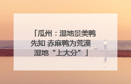 瓜州：湿地景美鸭先知 赤麻鸭为荒漠湿地“上大分”