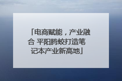 电商赋能，产业融合 平阳腾蛟打造笔记本产业新高地
