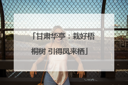 甘肃华亭：栽好梧桐树 引得凤来栖