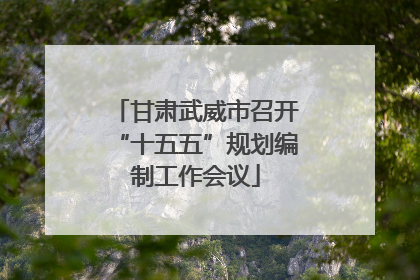 甘肃武威市召开“十五五”规划编制工作会议