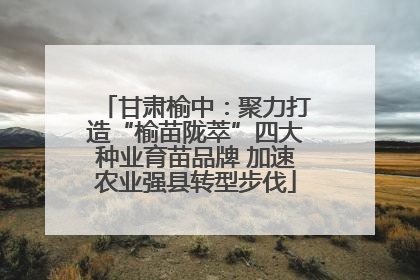 甘肃榆中：聚力打造“榆苗陇萃”四大种业育苗品牌 加速农业强县转型步伐