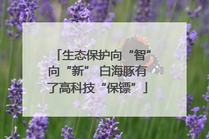 生态保护向“智”向“新” 白海豚有了高科技“保镖”