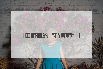 田野里的“精算师”