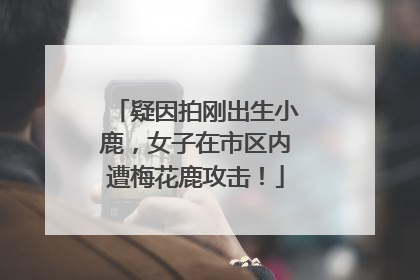 疑因拍刚出生小鹿，女子在市区内遭梅花鹿攻击！