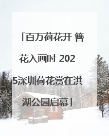 百万荷花开 簪花入画时 2025深圳荷花赏在洪湖公园启幕