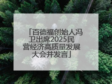 百德福创始人冯卫出席2025民营经济高质量发展大会并发言