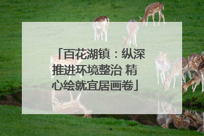 百花湖镇：纵深推进环境整治 精心绘就宜居画卷