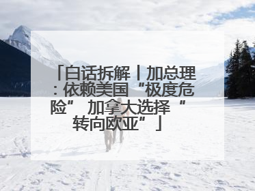 白话拆解丨加总理：依赖美国“极度危险” 加拿大选择“转向欧亚”