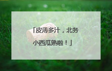 皮薄多汁，北务小西瓜熟啦！