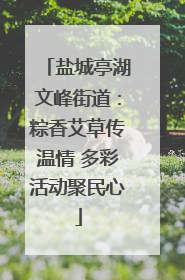 盐城亭湖文峰街道：粽香艾草传温情 多彩活动聚民心