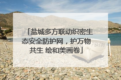 盐城多方联动织密生态安全防护网，护万物共生 绘和美画卷