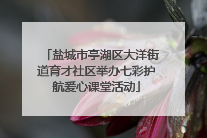 盐城市亭湖区大洋街道育才社区举办七彩护航爱心课堂活动