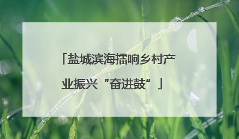 盐城滨海擂响乡村产业振兴“奋进鼓”