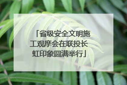 省级安全文明施工观摩会在联投长虹印象圆满举行