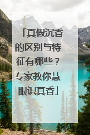 真假沉香的区别与特征有哪些？专家教你慧眼识真香