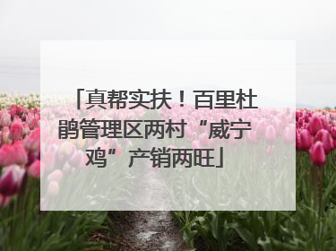 真帮实扶！百里杜鹃管理区两村“威宁鸡”产销两旺
