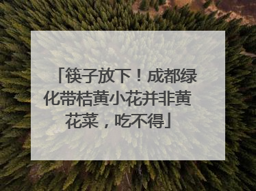 筷子放下！成都绿化带桔黄小花并非黄花菜，吃不得