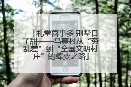 礼堂喜事多 别墅日子甜——马寨村从“穷乱差”到“全国文明村庄”的蝶变之路
