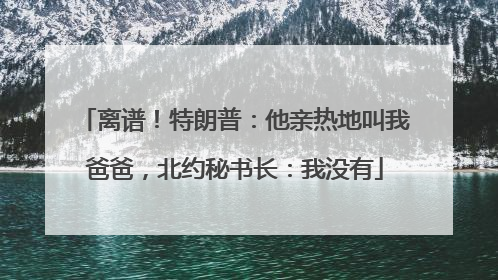 离谱！特朗普：他亲热地叫我爸爸，北约秘书长：我没有