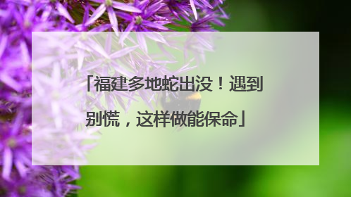 福建多地蛇出没！遇到别慌，这样做能保命