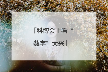科博会上看“数字”大兴