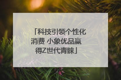 科技引领个性化消费 小象优品赢得Z世代青睐