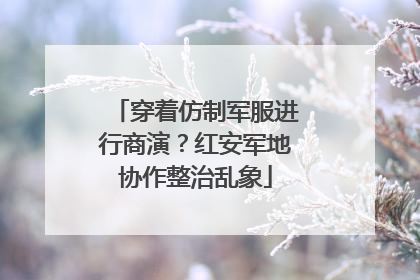 穿着仿制军服进行商演？红安军地协作整治乱象