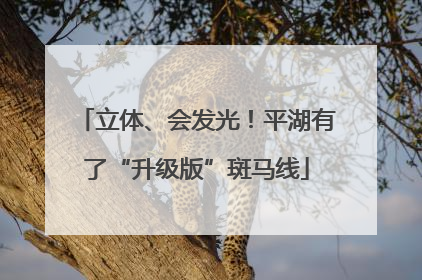 立体、会发光！平湖有了“升级版”斑马线