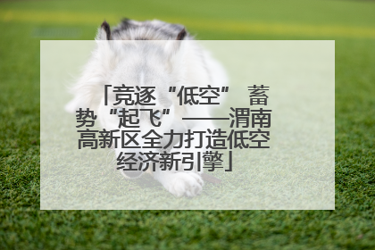 竞逐“低空” 蓄势“起飞”——渭南高新区全力打造低空经济新引擎