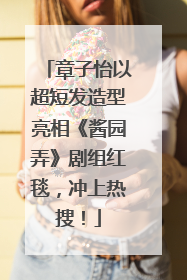 章子怡以超短发造型亮相《酱园弄》剧组红毯，冲上热搜！