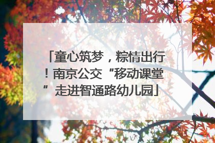 童心筑梦，粽情出行！南京公交“移动课堂”走进智通路幼儿园