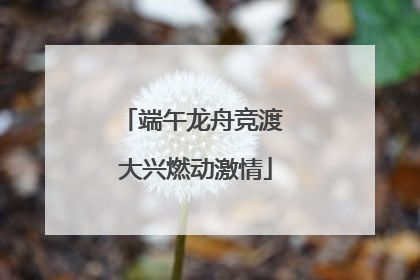 端午龙舟竞渡 大兴燃动激情