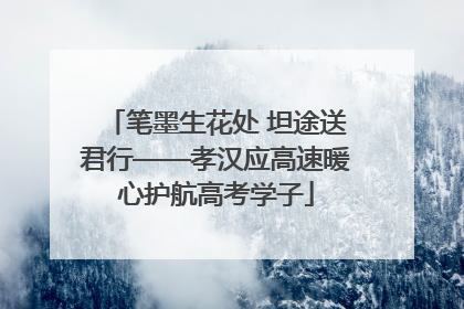 笔墨生花处 坦途送君行——孝汉应高速暖心护航高考学子