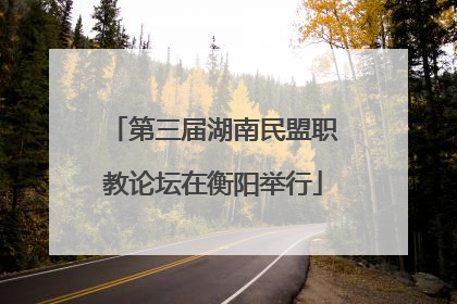 第三届湖南民盟职教论坛在衡阳举行
