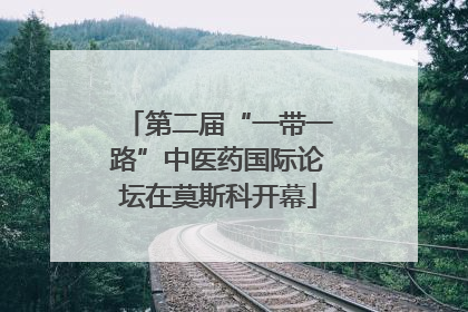 第二届“一带一路”中医药国际论坛在莫斯科开幕