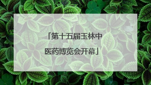 第十五届玉林中医药博览会开幕